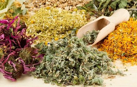 Herbs for the increase in penis