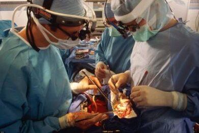 Microsurgical Muscle Transplantation